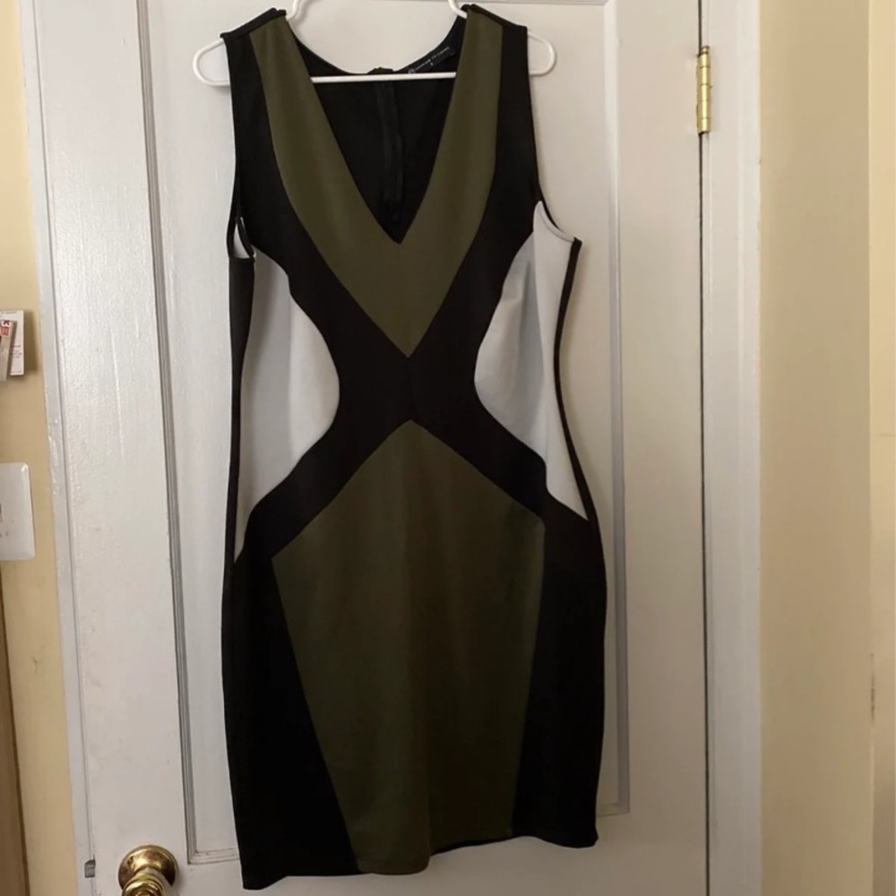 Fashion To Figure Dress